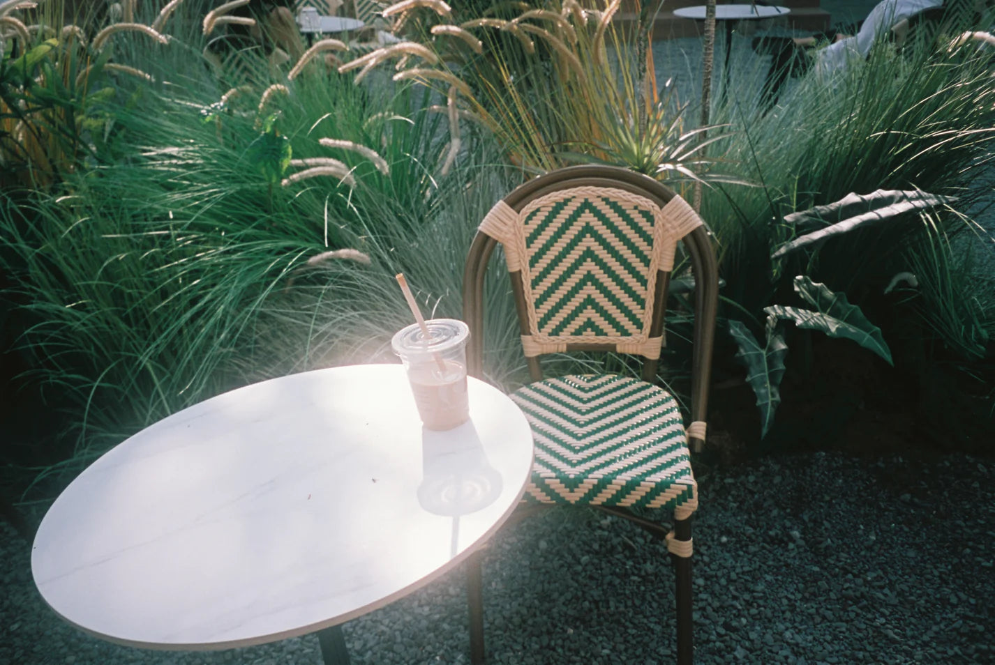 Reflx Lab Pro 100 Color Negative Film 36EXP